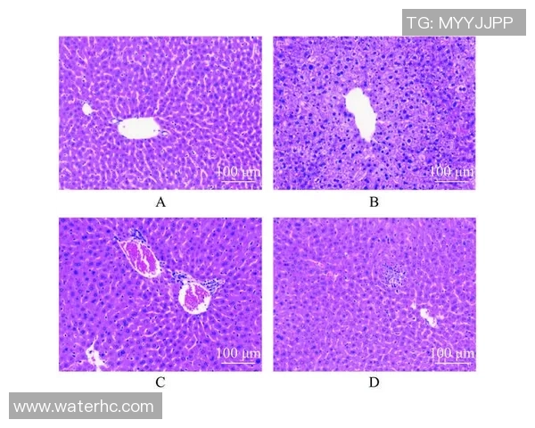 足球材料纤维的创新发展与应用前景探讨及其对运动性能的影响分析