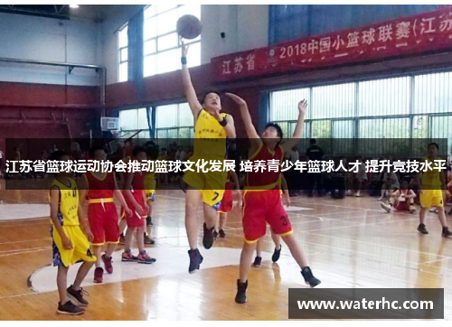 江苏省篮球运动协会推动篮球文化发展 培养青少年篮球人才 提升竞技水平