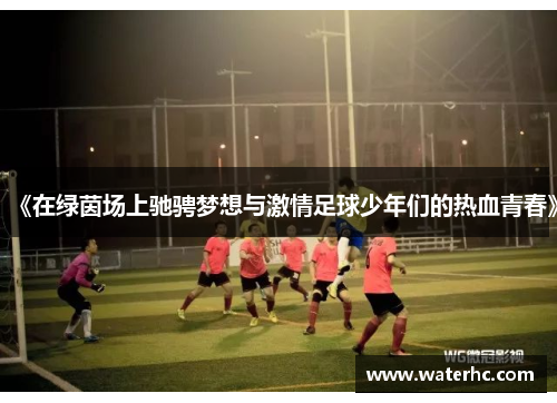 《在绿茵场上驰骋梦想与激情足球少年们的热血青春》