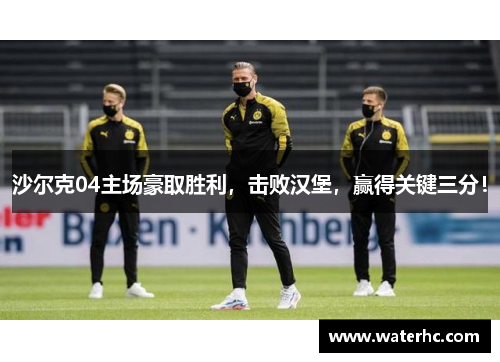 沙尔克04主场豪取胜利，击败汉堡，赢得关键三分！