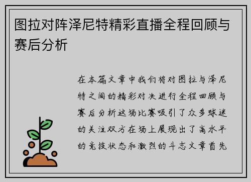 图拉对阵泽尼特精彩直播全程回顾与赛后分析